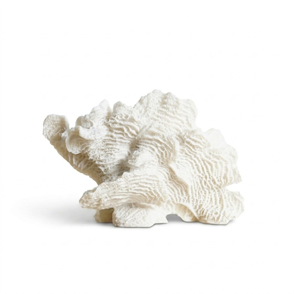 Artistic Modern Resin Coral Ornament